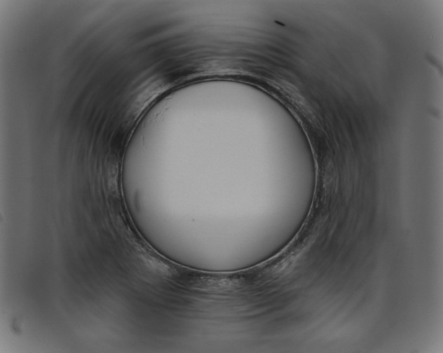 X0000098111273200804251419