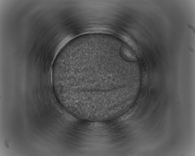 X0000098111275200804251419