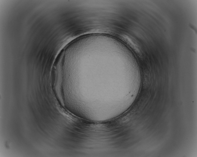 X0000098111276200804251419