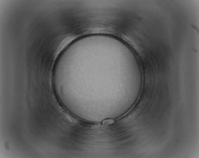 X0000098111277200804251419