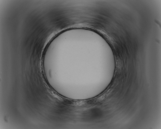 X0000098111278200804251419