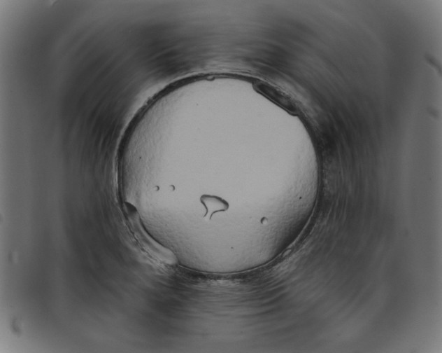 X0000098111280200804251419