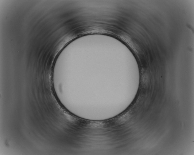 X0000098111282200804251419