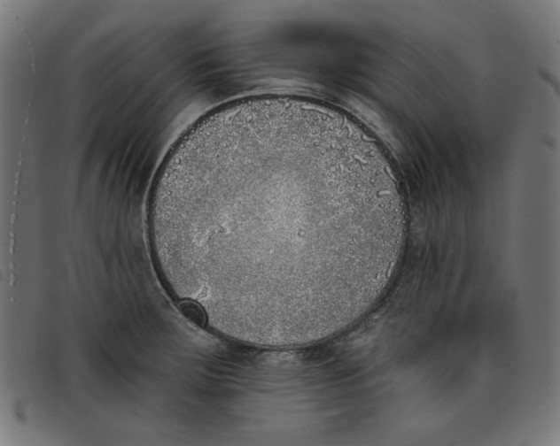 X0000098111283200804251419