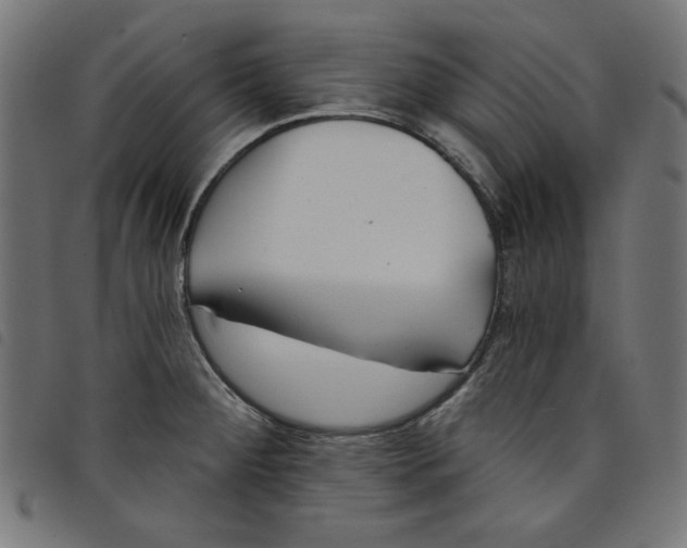 X0000098111284200804251419