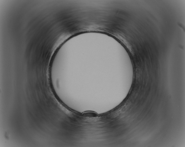 X0000098111285200804251419