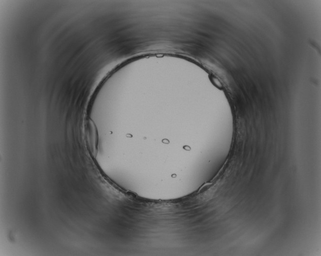 X0000098111288200804251419