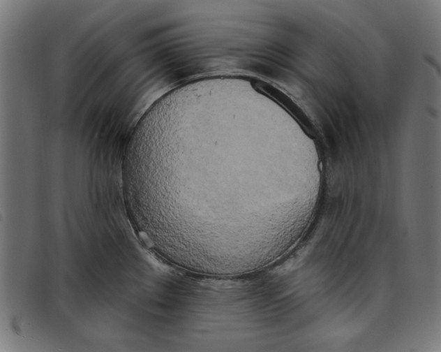 X0000098111289200804251419