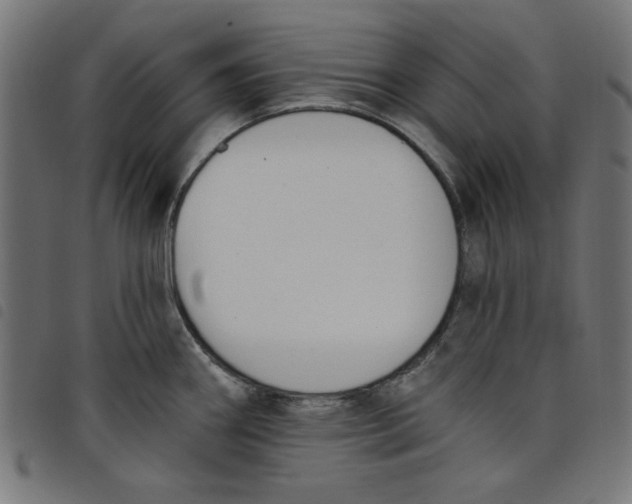 X0000098111290200804251419