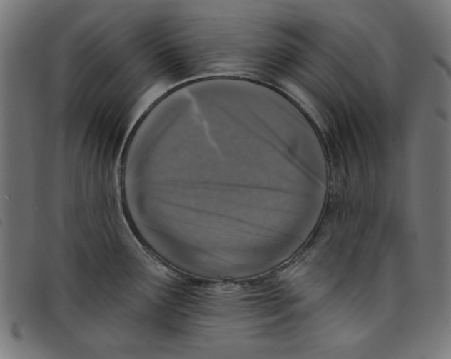 X0000098111291200804251419