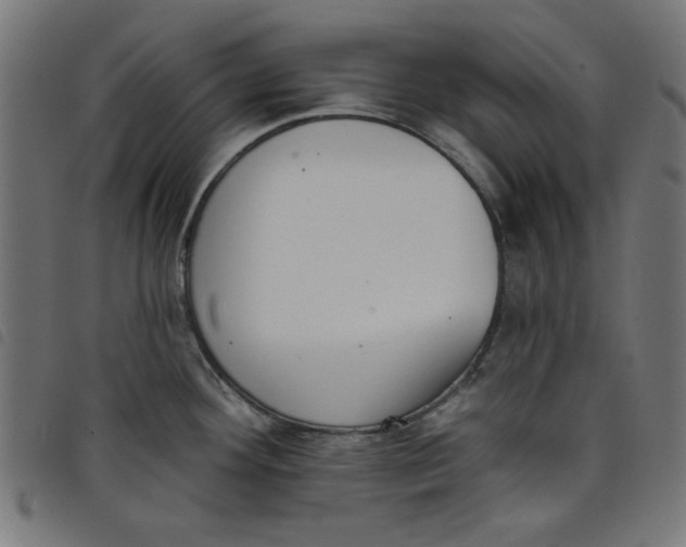 X0000098111292200804251419