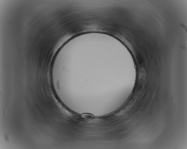 X0000098111293200804251419