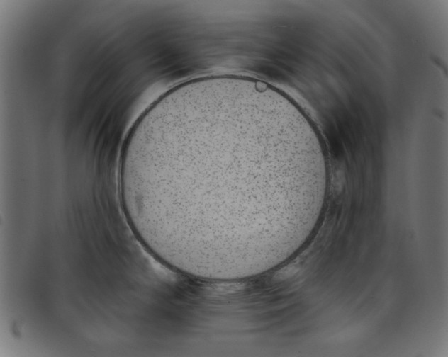 X0000098111294200804251419