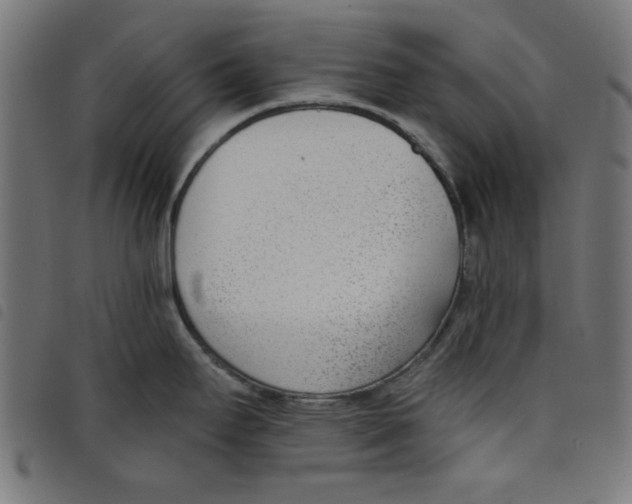 X0000098111295200804251419