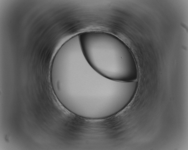 X0000098111296200804251419