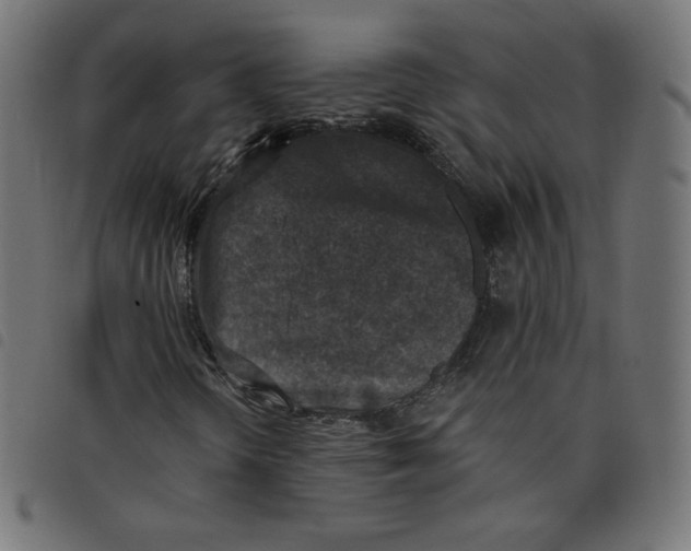 X0000098111298200804251418