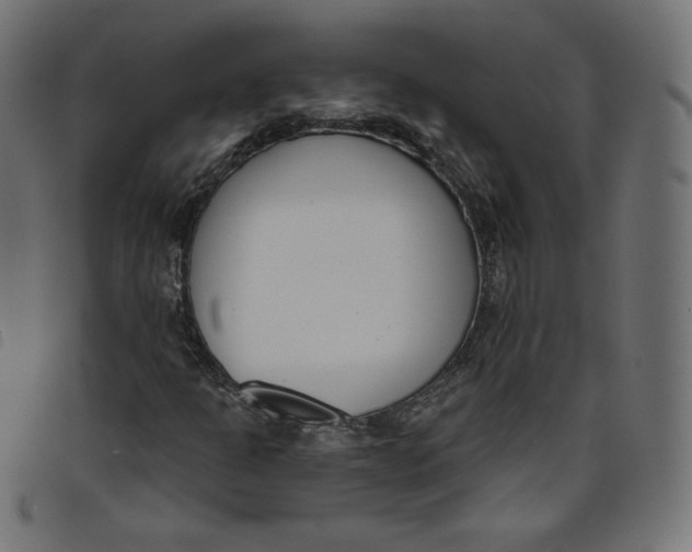 X0000098111301200804251418