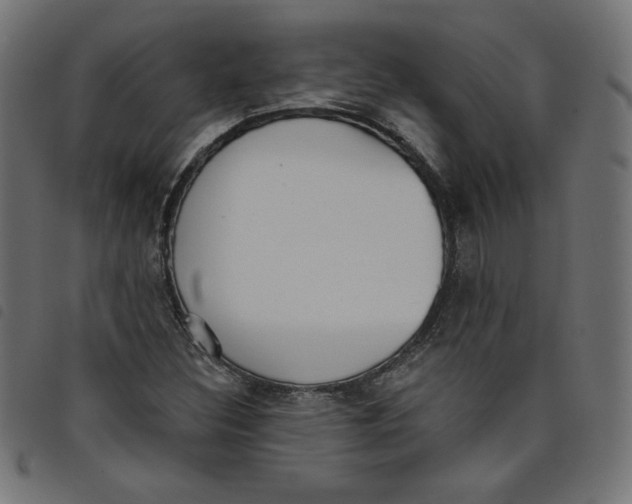 X0000098111308200804251418