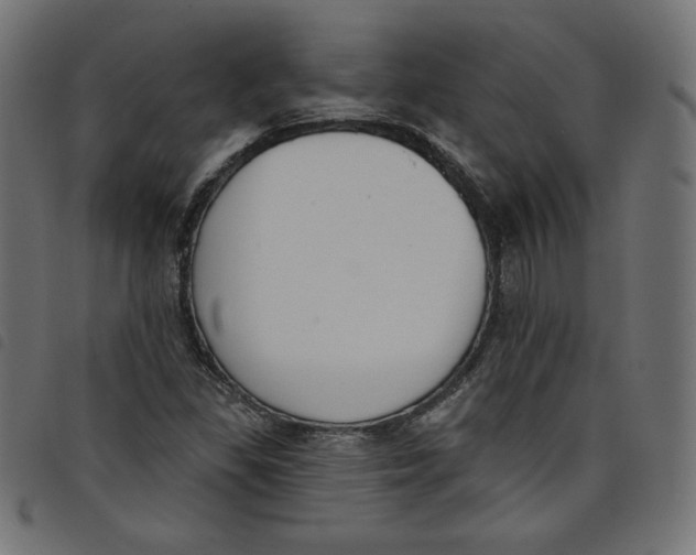 X0000098111309200804251418