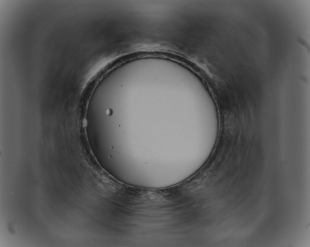 X0000098111311200804251419