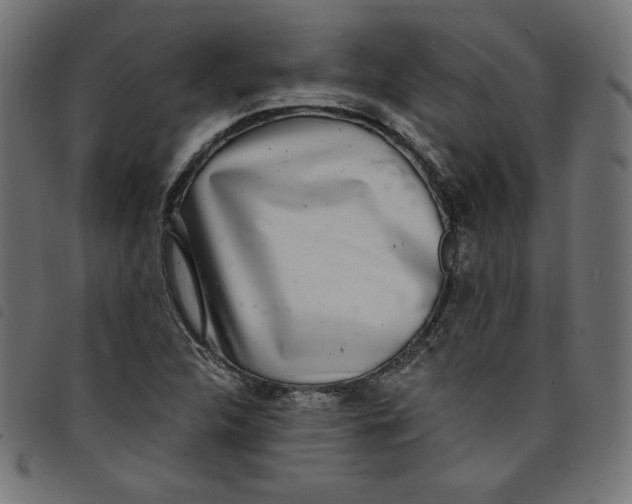 X0000098111312200804251419