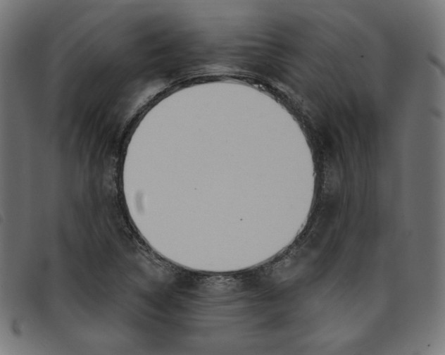 X0000098111314200804251419