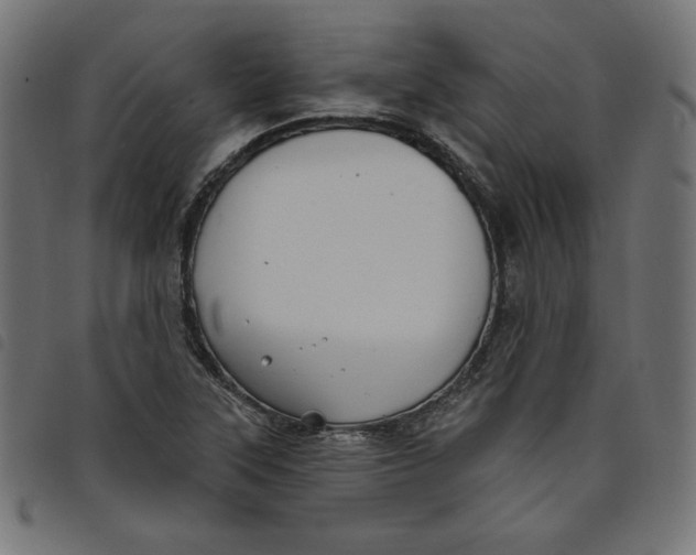 X0000098111315200804251419