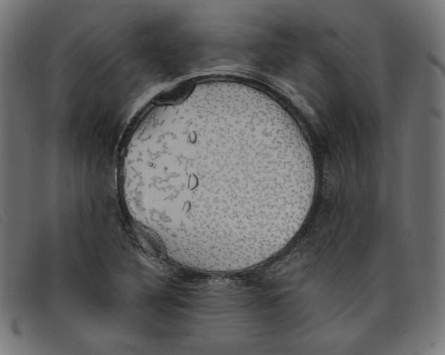 X0000098111316200804251419