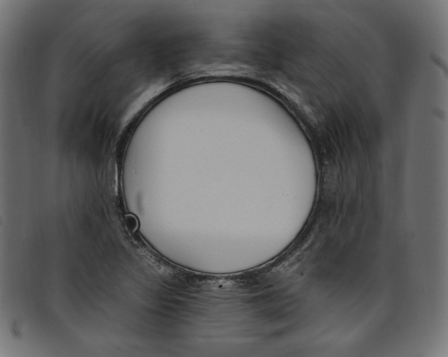 X0000098111317200804251419