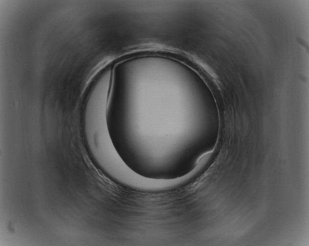 X0000098111318200804251419