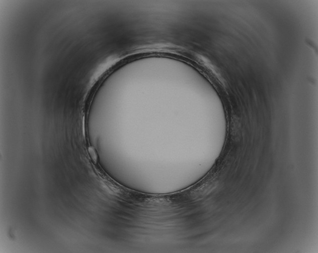 X0000098111320200804251419