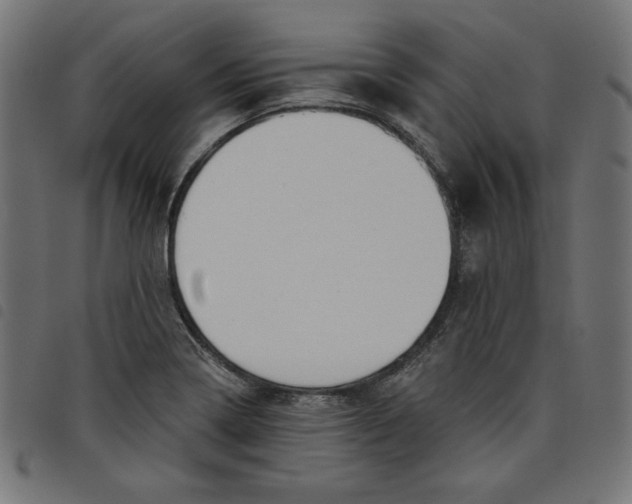 X0000098111322200804251419