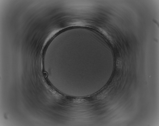 X0000098111323200804251419