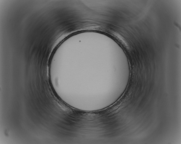 X0000098111324200804251419