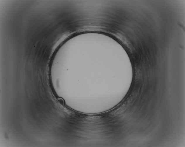 X0000098111325200804251419