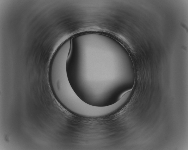 X0000098111326200804251419