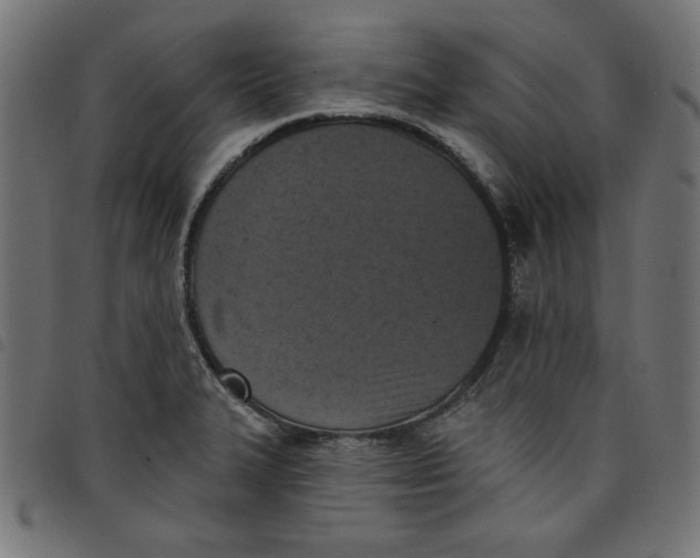 X0000098111327200804251419