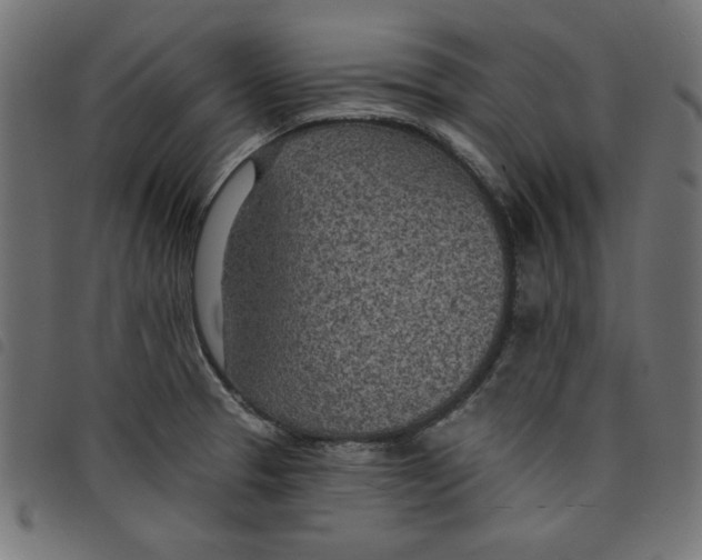 X0000098111329200804251419