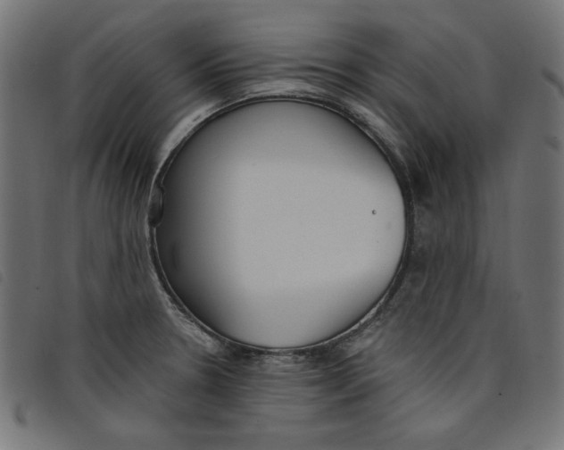 X0000098111330200804251419