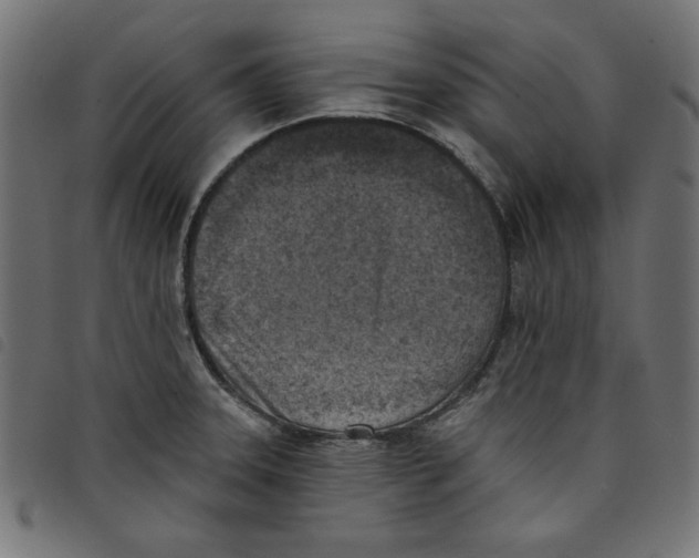 X0000098111331200804251419