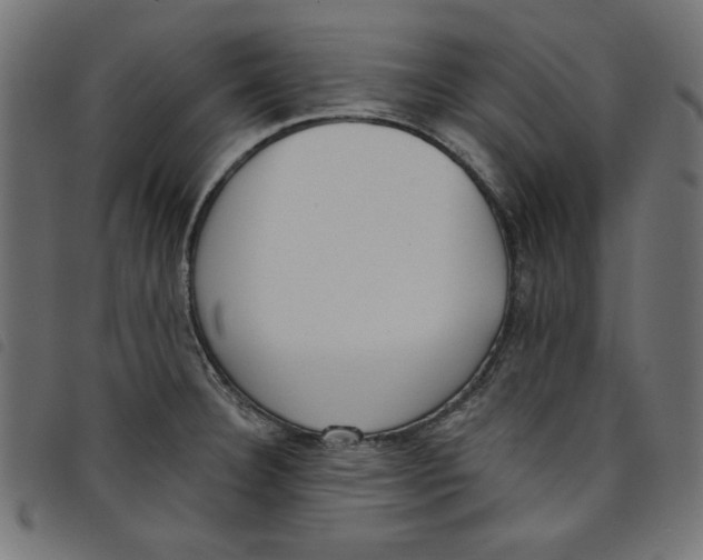 X0000098111332200804251419