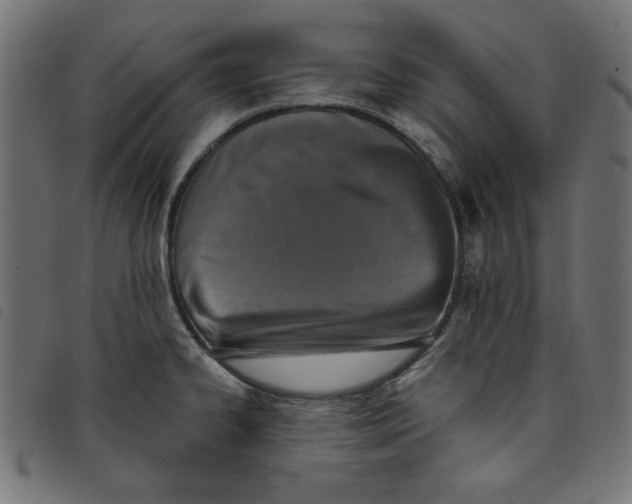 X0000098111334200804251419