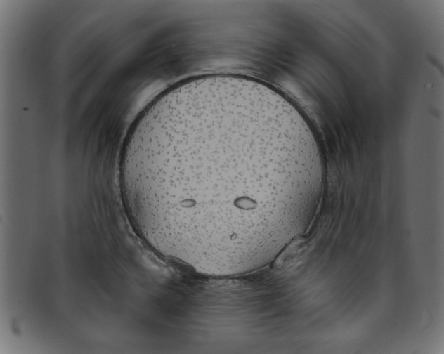 X0000098111336200804251419