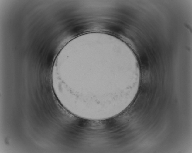 X0000098111338200804251419