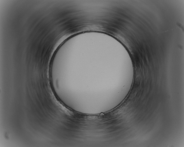 X0000098111339200804251419