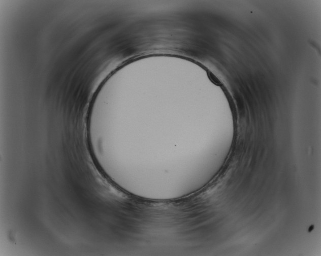 X0000098111341200804251419