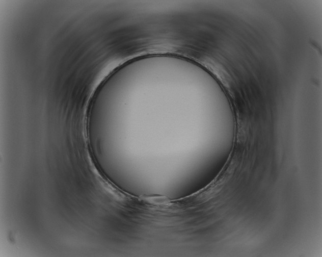 X0000098111342200804251419