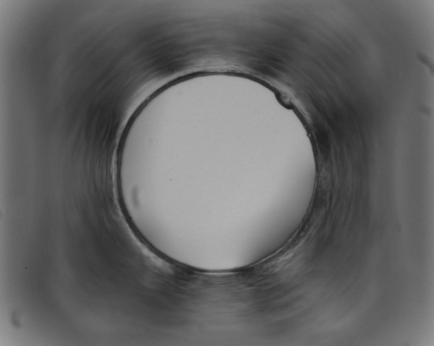 X0000098111343200804251419