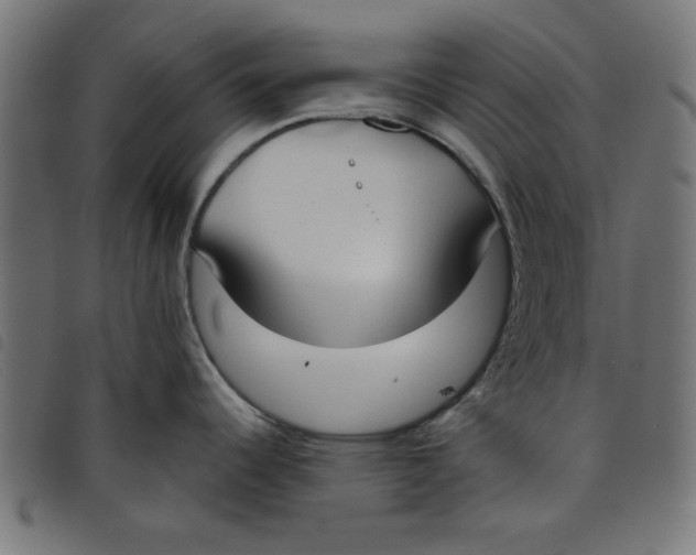 X0000098111344200804251419