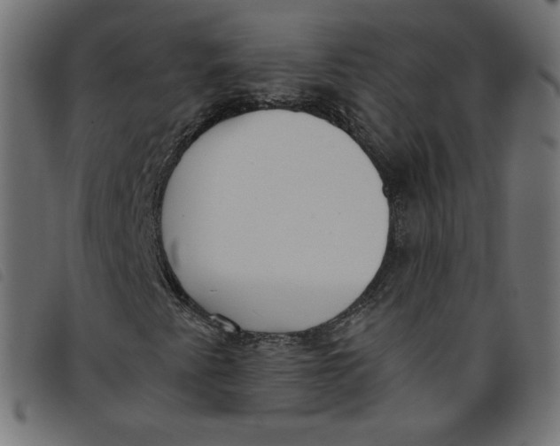 X0000098111345200804251418